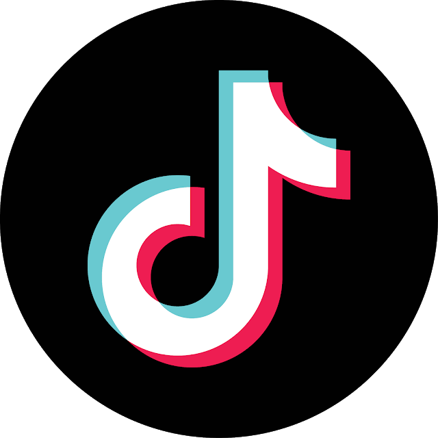 TikTok Icon