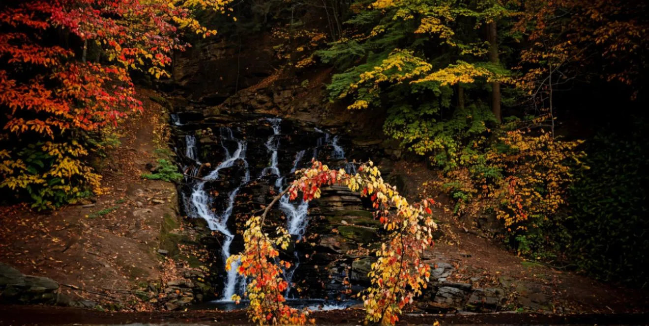 freepik extend background 30982