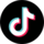 TikTok Icon